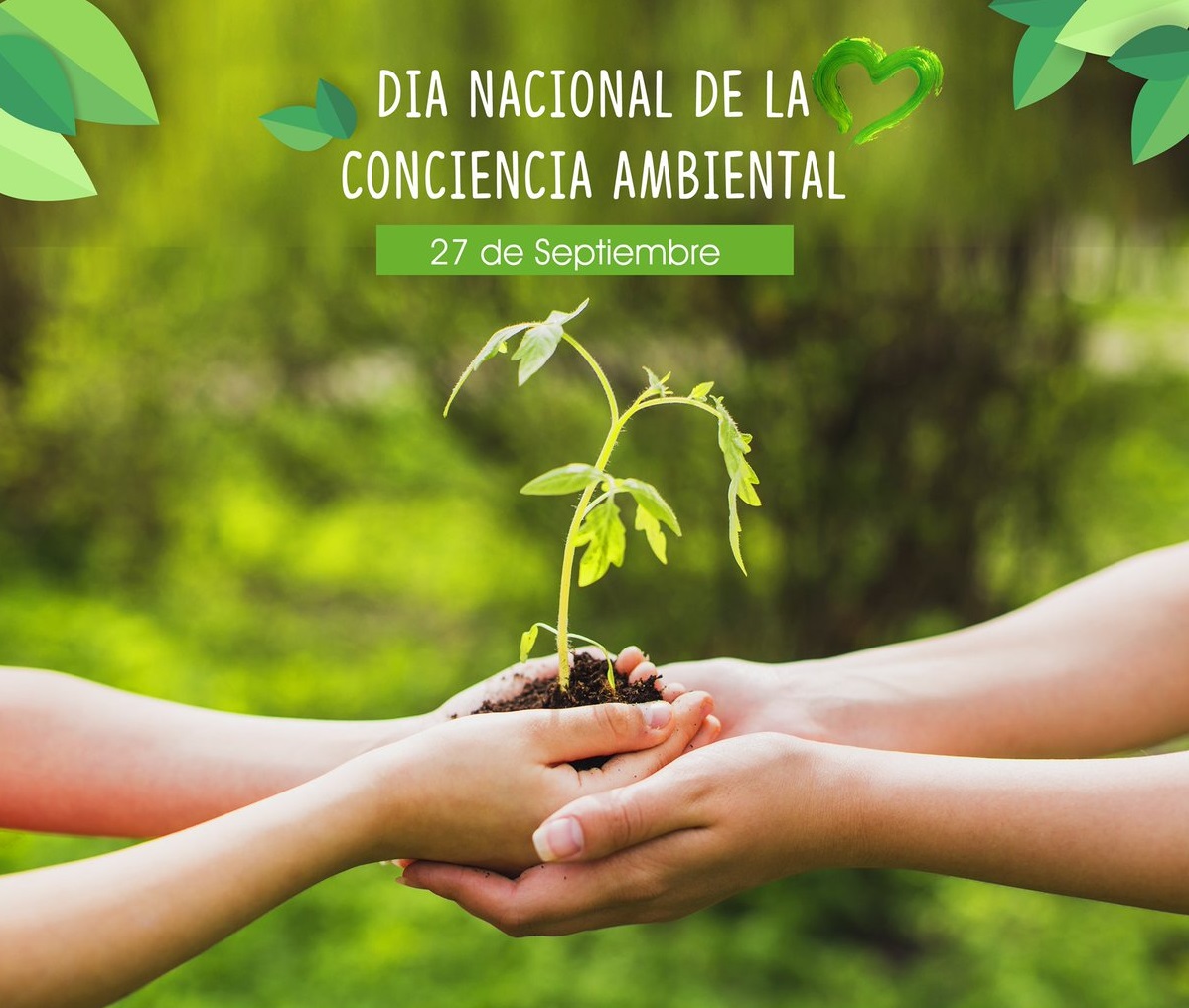 Día Nacional de la Conciencia Ambiental