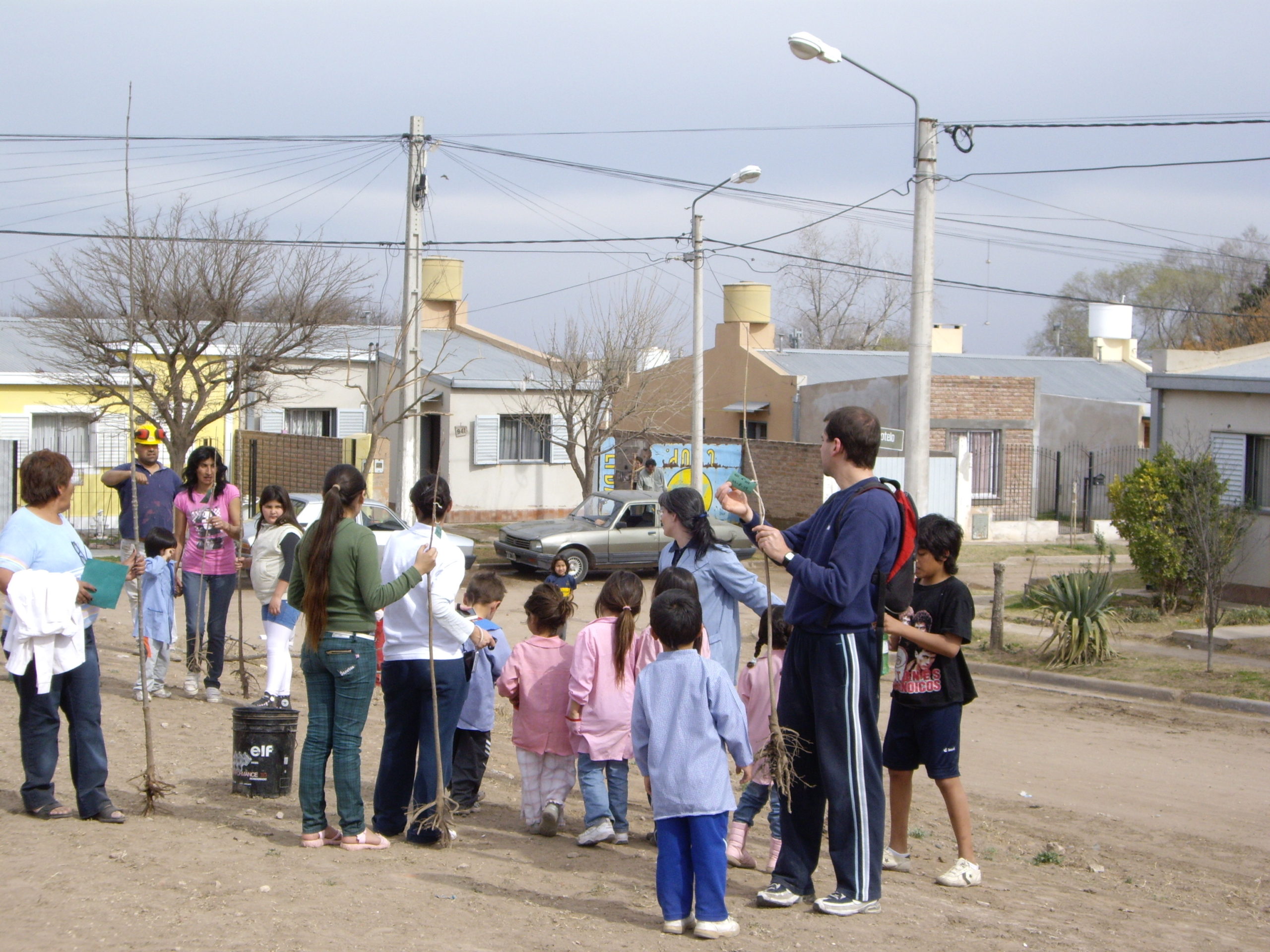 Día y semana nacional del Árbol Ley 27683