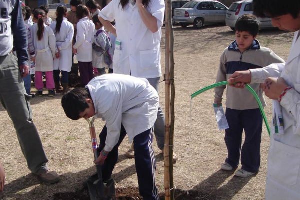 DÍA DEL ARBOL