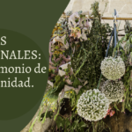 Día Nacional de las Plantas Medicinales